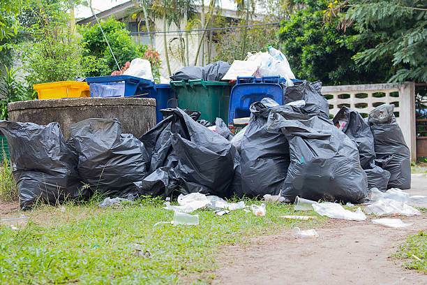 Yard Cleanup Services in King City, OR